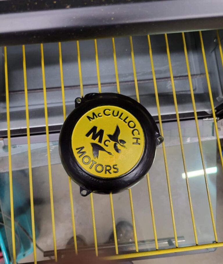 1000000945 1 768x909