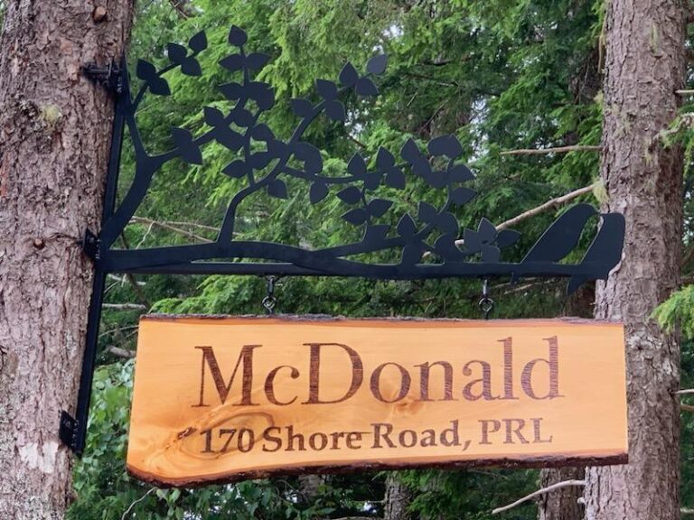 1000003700 1 768x576